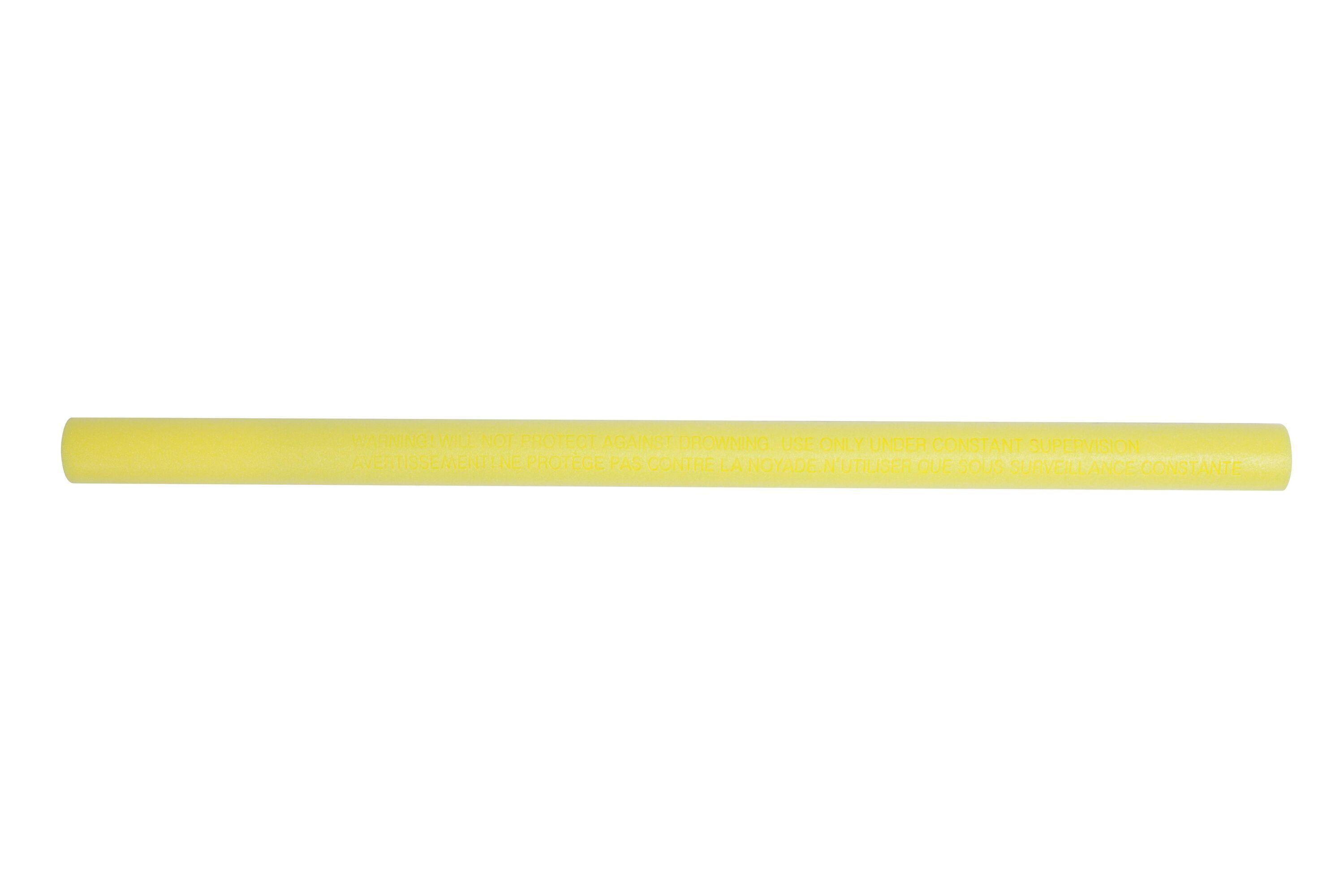 BESTWAY 1.22M AQUA BONES (Contents:one display box, assorted in 4 colors Aqua Bones: yellow, green, orange, pink, total 24pcs/per display box) Age 6-12