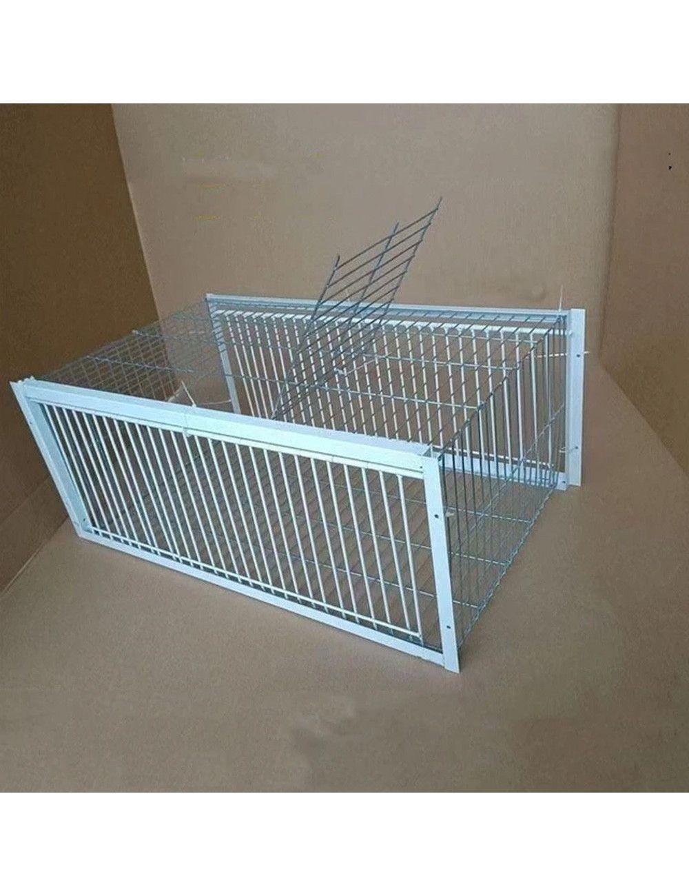 LM‑17 Pigeon Trap Cage with 2 Doors – 100 × 60 × 26 cm